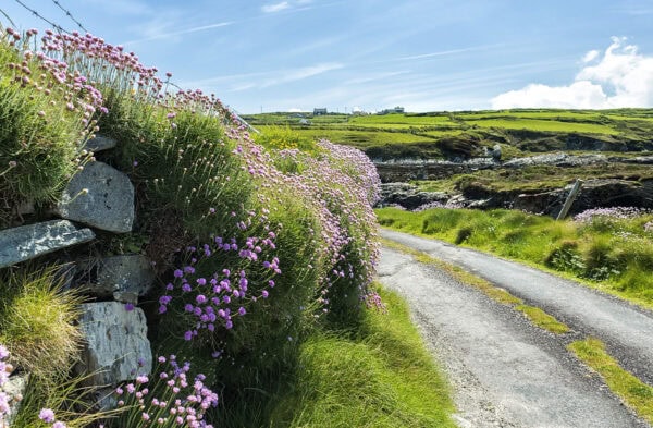 Castle Point