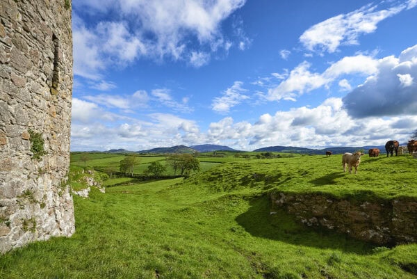 Castle Roche