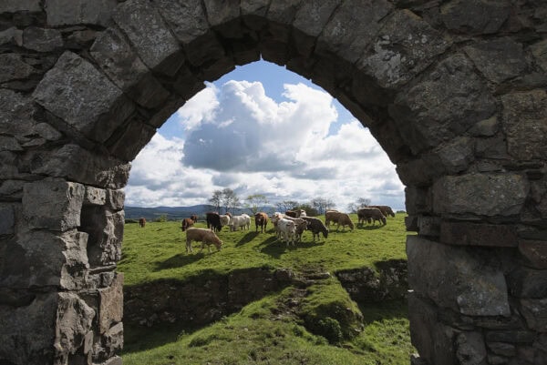 Castle Roche
