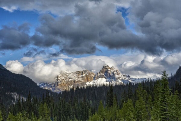 Cathedral Mountain