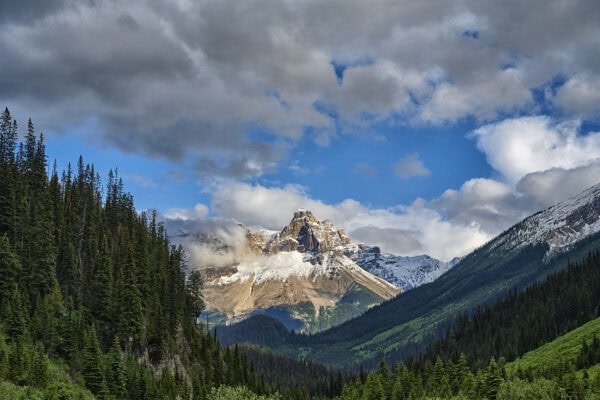 Cathedral Mountain