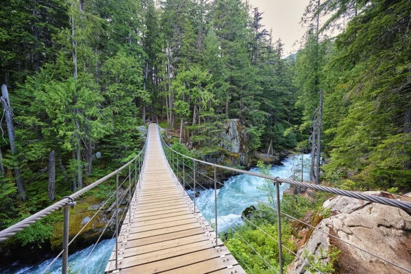 Suspension Bridge