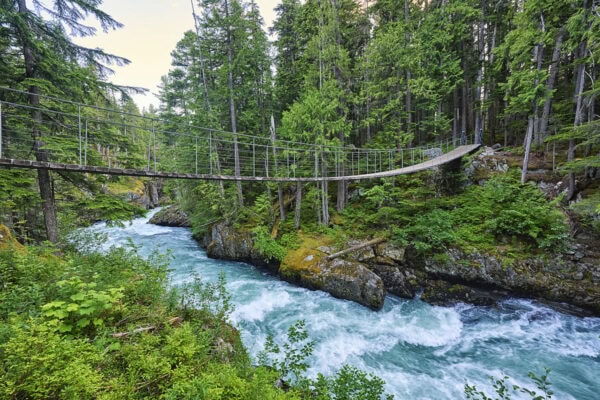 Suspension Bridge