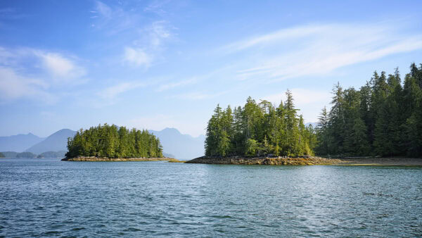 Clayoquot Sound