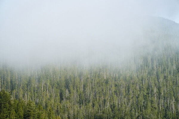 Clayoquot Sound