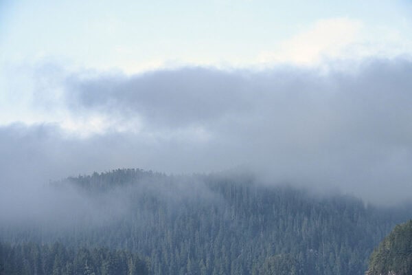 Clayoquot Sound