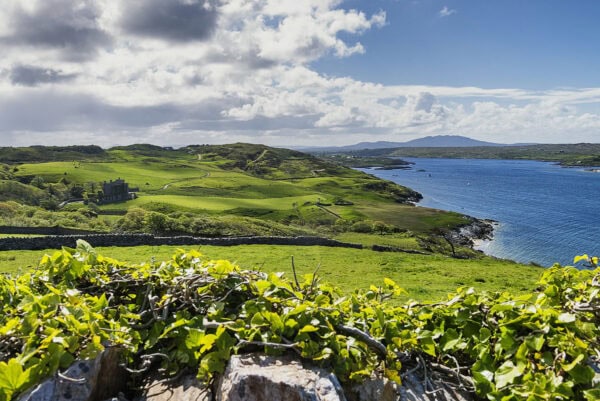 Clifden Castle