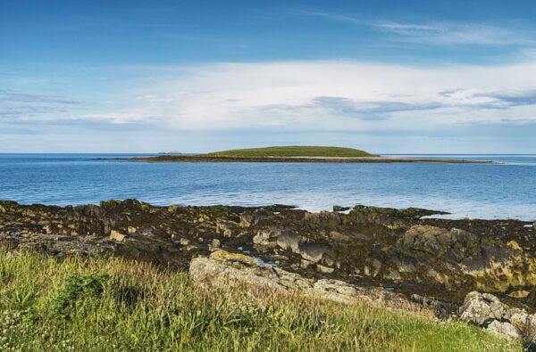 Colt Island