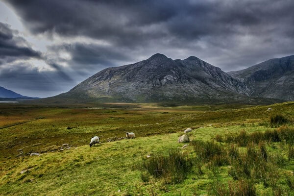 Connemara