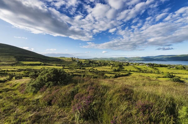 Cooley Mountains