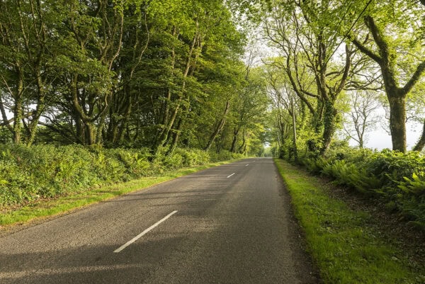 Country Road