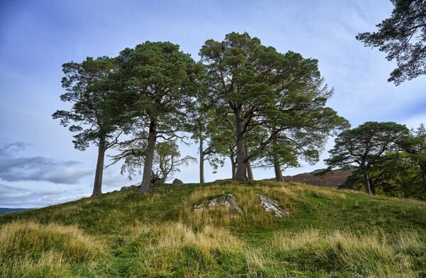 Craigh na Dun