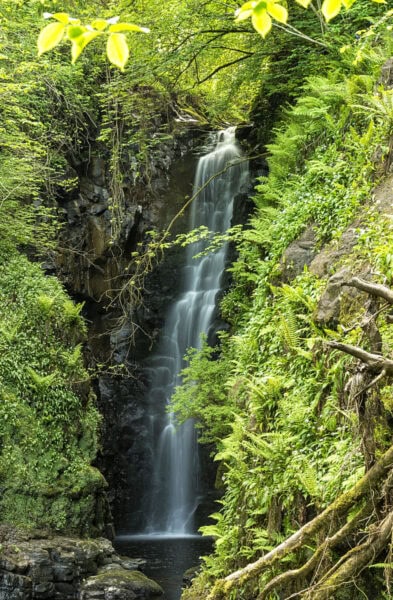 Cranny Falls