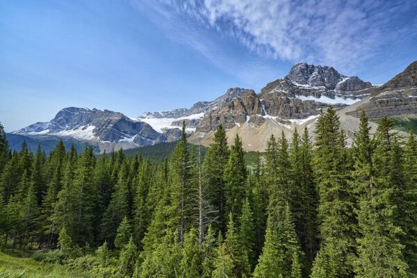 Crowfoot Glacier