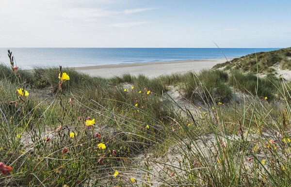 Curracloe Beach