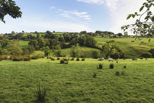 Cushendall