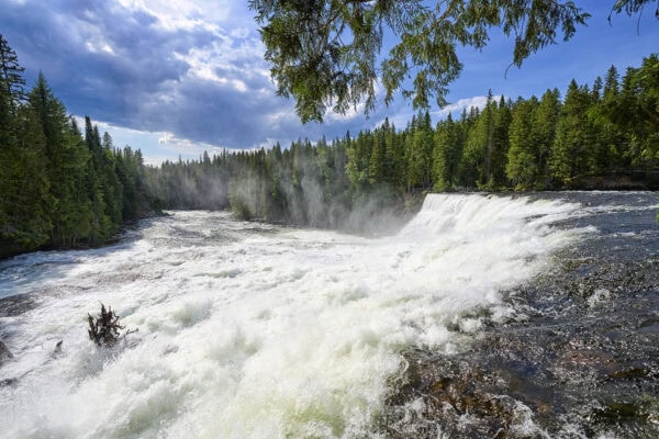 Dawson Falls