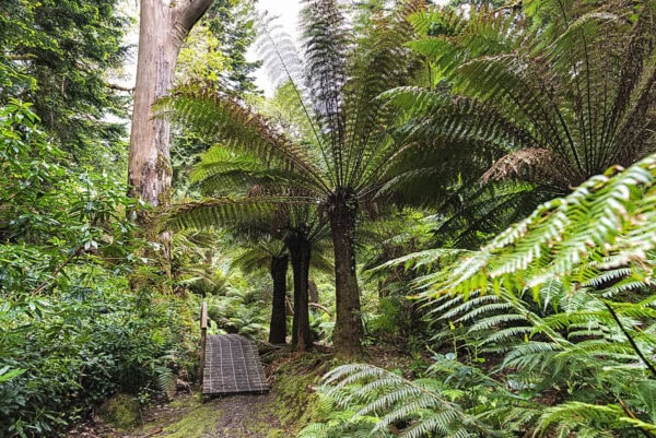 Derreen Garden