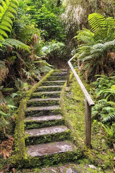 Derreen Garden
