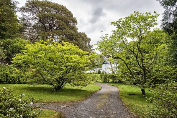 Derreen Garden