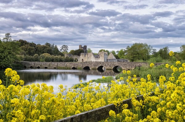 Desmond Castle