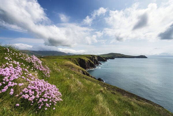Dingle Bay