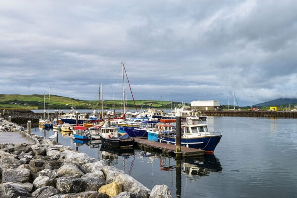 Dingle Harbour