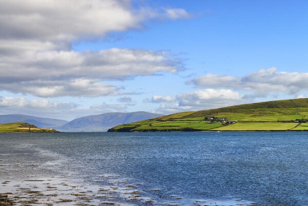 Dingle Harbour