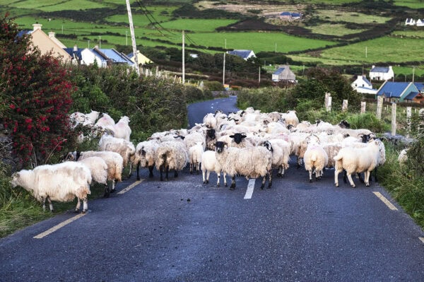 Dingle Peninsula