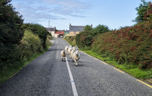 Dingle Peninsula