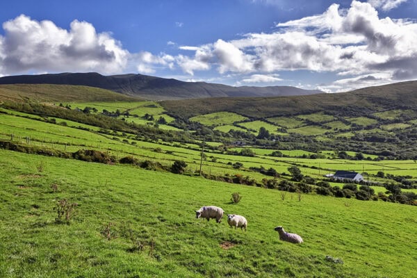 Dingle Peninsula