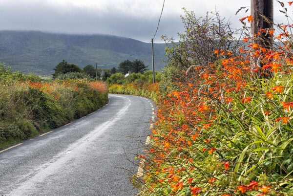 Dingle Peninsula