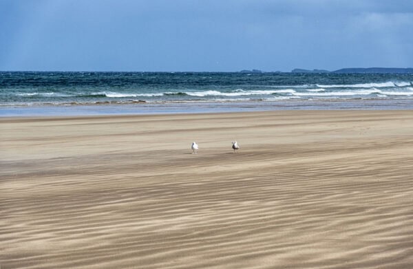 Downhill Beach