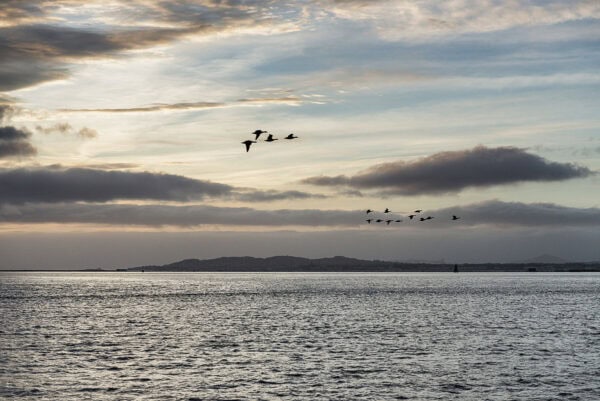 Dublin Bay