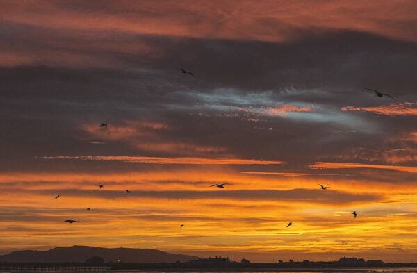 Dublin Bay