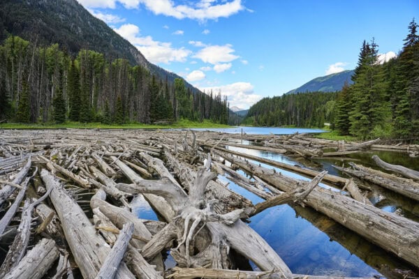 Duffey Lake