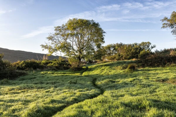 Dunboy Castle