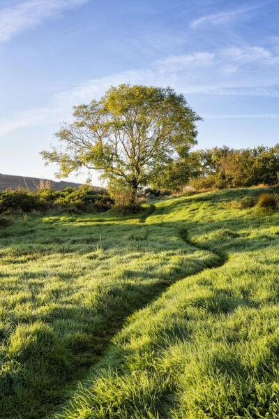 Dunboy Castle