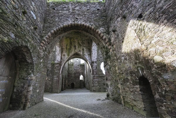 Dunbrody Abbey