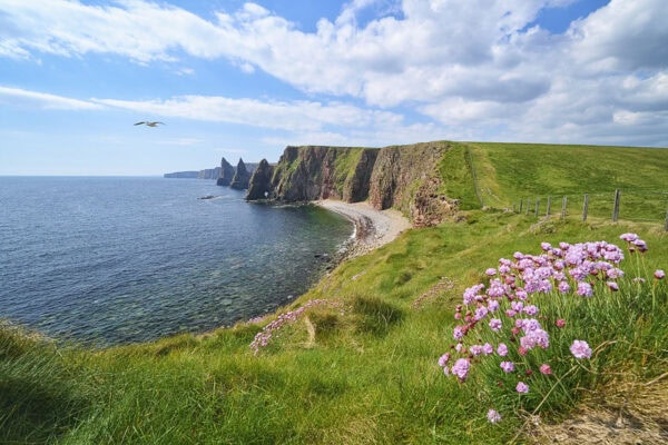 Duncansby Stacks