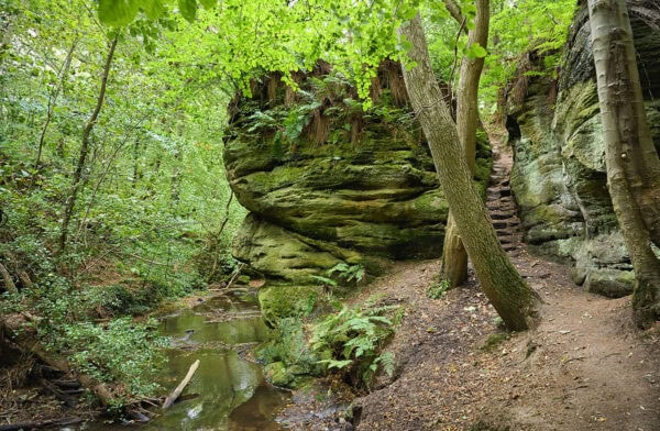 Dunino Den