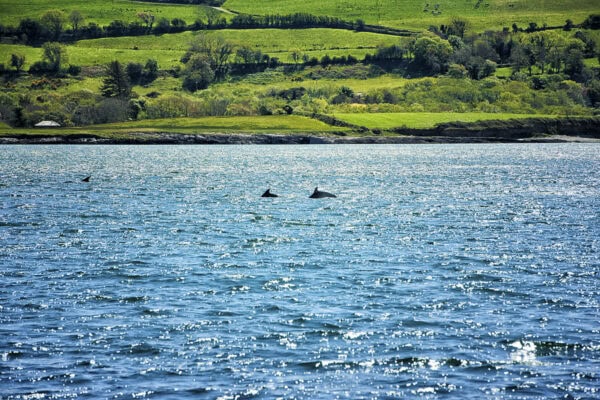 Dunmanus Bay