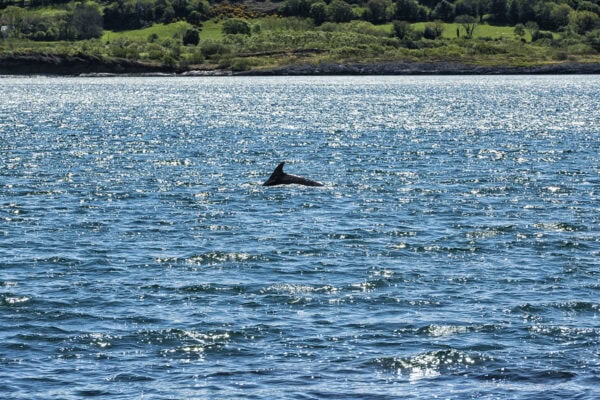 Dunmanus Bay