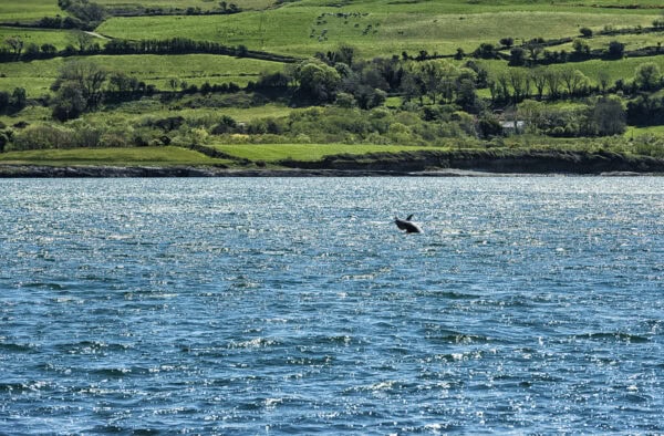 Dunmanus Bay