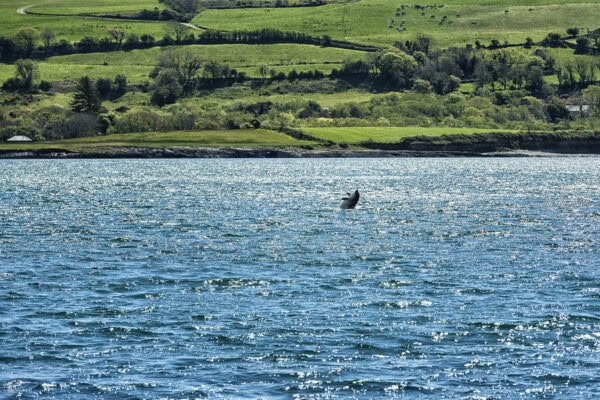 Dunmanus Bay