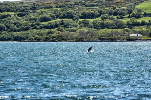 Dunmanus Bay