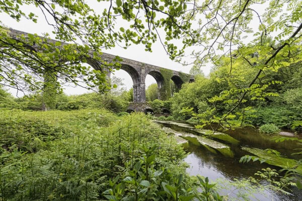 Waterford Greenway