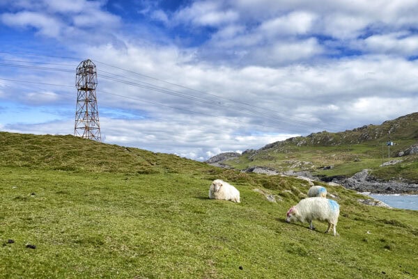 Dursey Island