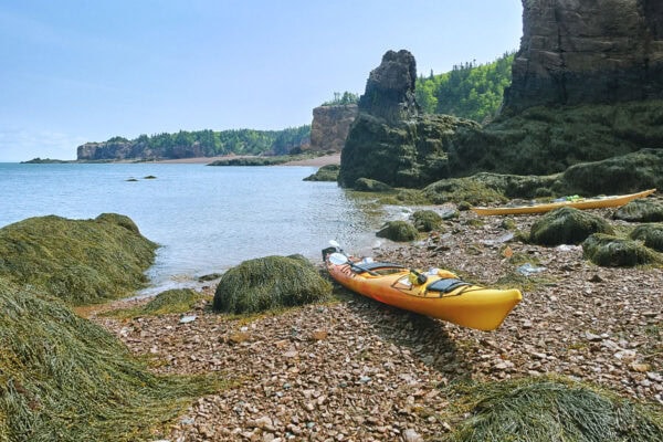 Eatonville Harbour