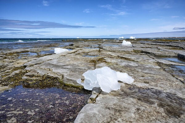 Iceberg
